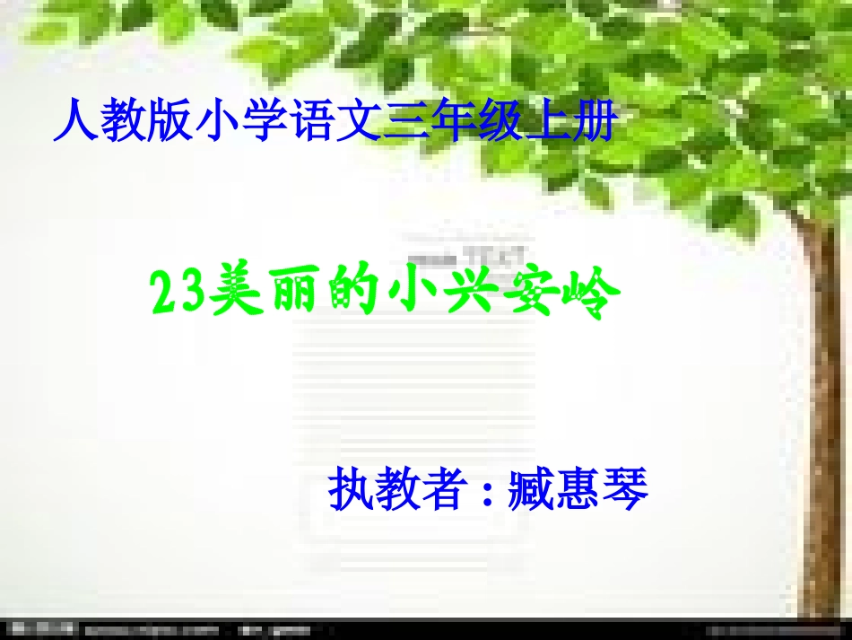小学三年级语文美丽的小兴安岭 (2)_第1页
