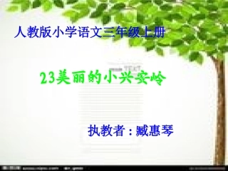 小学三年级语文美丽的小兴安岭 (2)