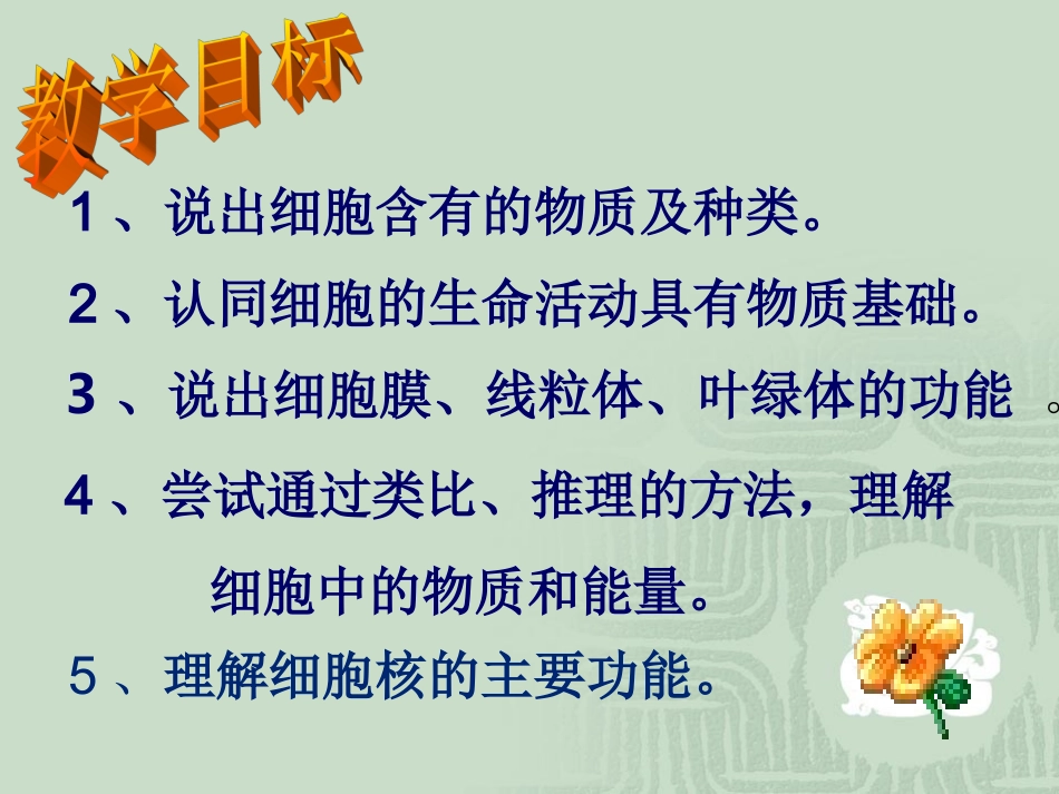 细胞的生活需要物质和能量_第3页