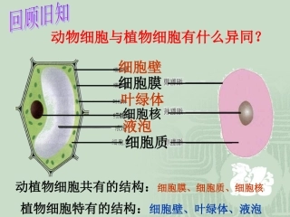 细胞的生活需要物质和能量