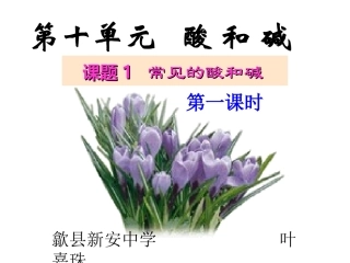 新安初三化学下册第十单元课题一常见的酸和碱-第一课时