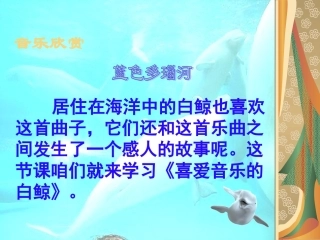 喜爱音乐的白鲸PPT