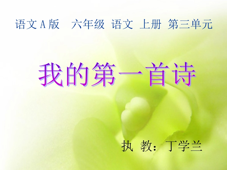 我的第一首诗课件_第1页