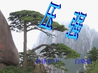 八年级物理第十章第1节压强