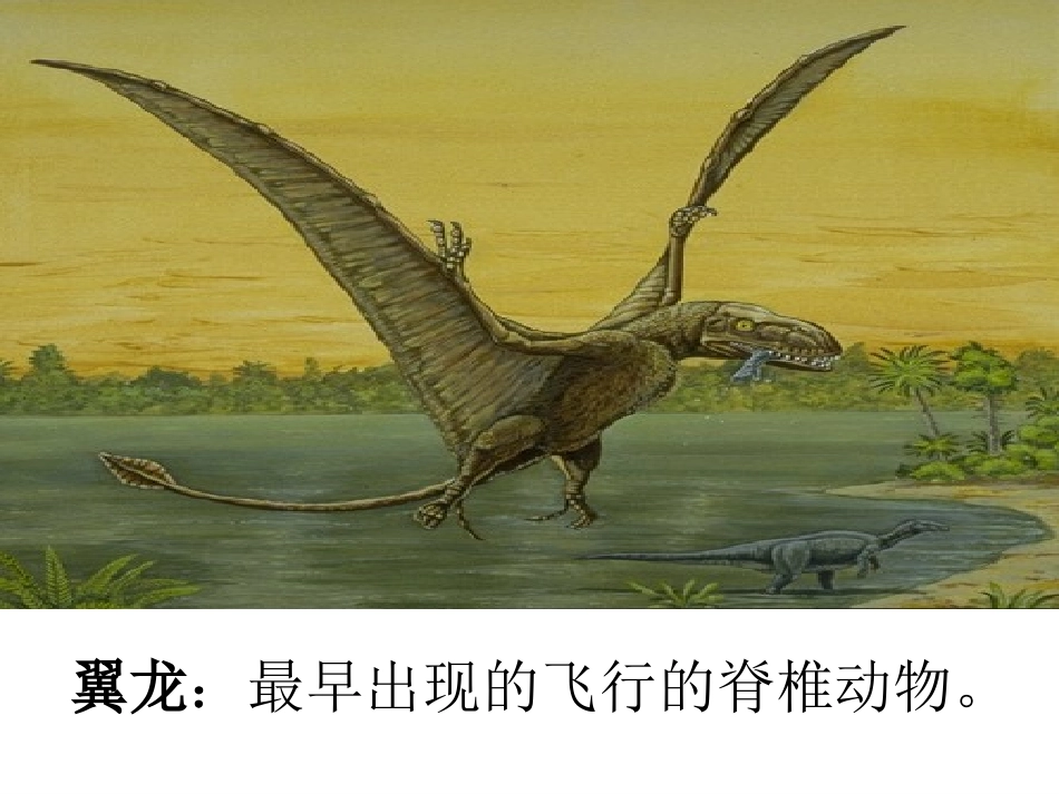 恐龙的灭绝PPT_第2页