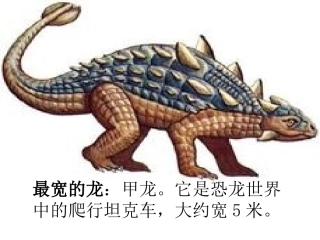 恐龙的灭绝PPT