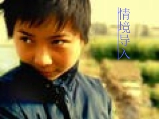 心声_课件 (3)