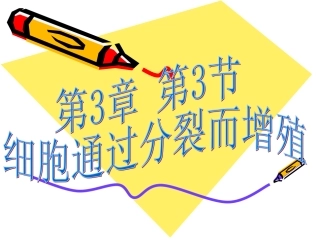 细胞通过分裂而增殖2