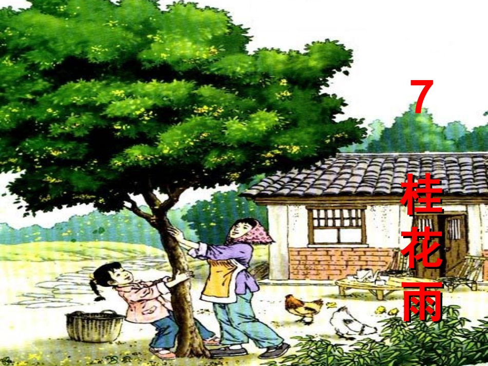 五年级上册7课《桂花雨》PPT课件_第2页