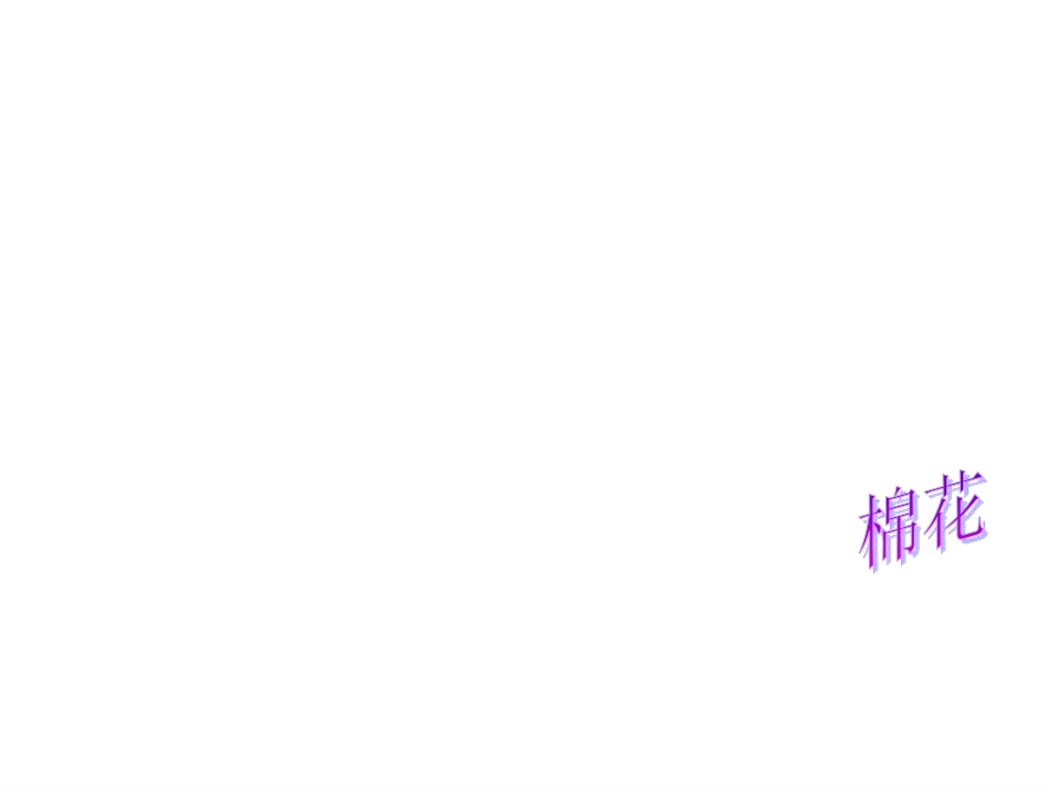 棉花姑娘录课使用_第1页