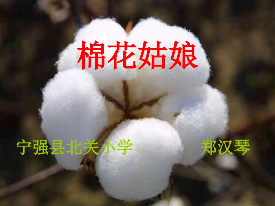 棉花姑娘录课使用_第2页