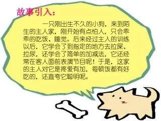 动物行为的生理基础