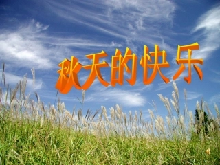 三年级口语交际_秋天的快乐讲课用