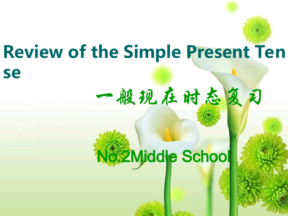 中考英语一般现在时复习_第1页