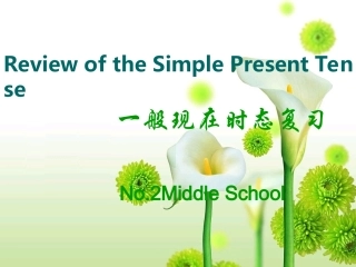 中考英语一般现在时复习