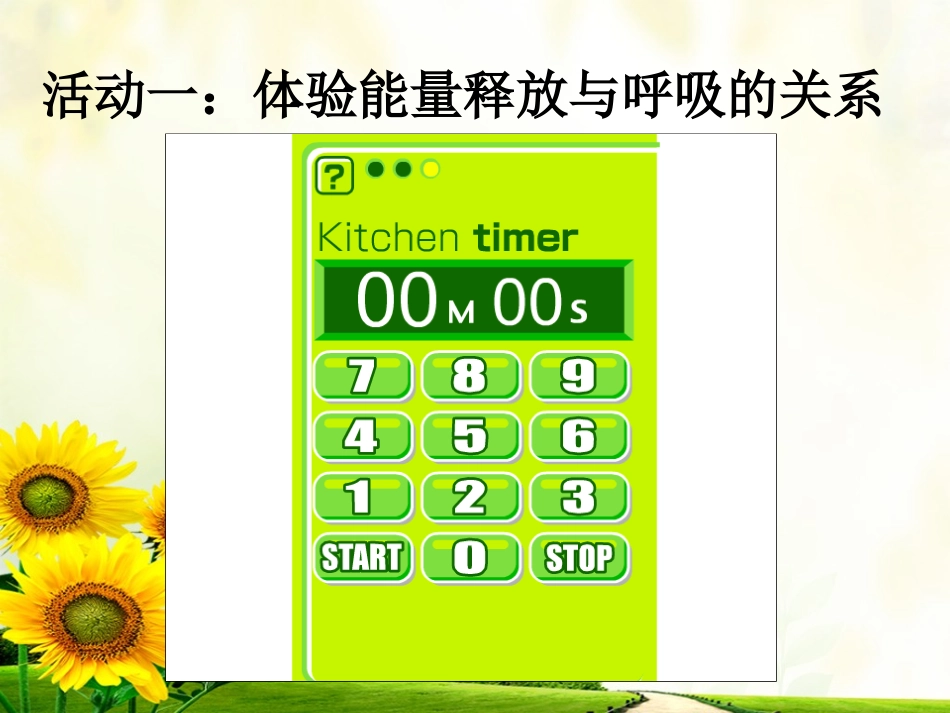 能量的释放和利用_第2页