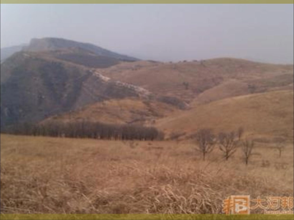 六年级《青山不老》课件_第2页