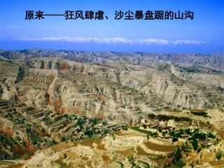 六年级《青山不老》课件