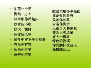 那树 (2)