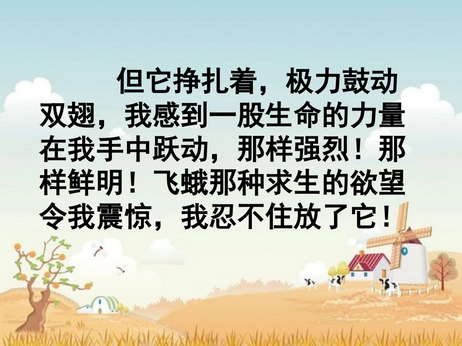 生命生命 (4)_第2页