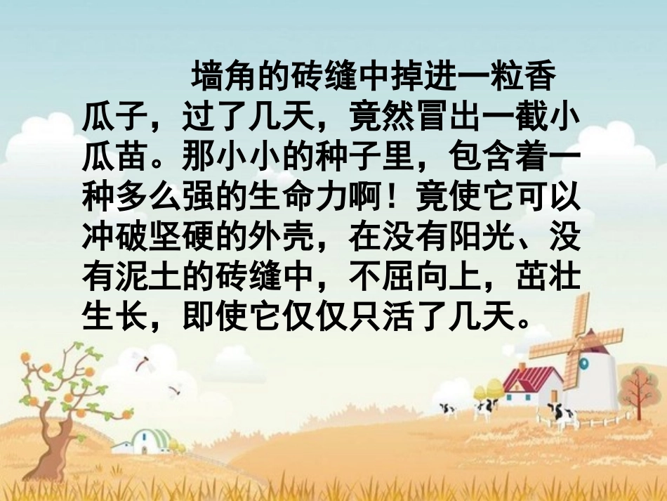 生命生命 (4)_第3页