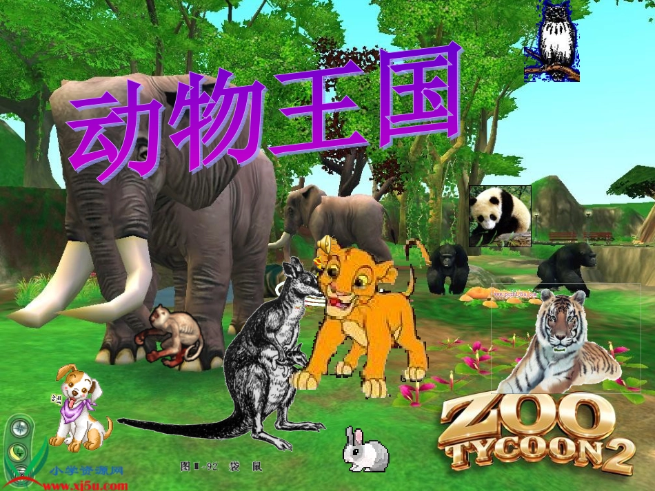 从现在开始课件罗洁赛课_第3页