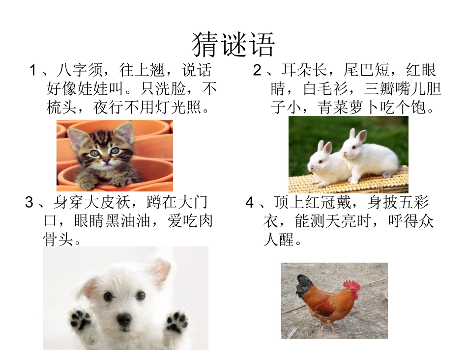 小学语文四上第四单元习作——我喜欢的小动物_第2页