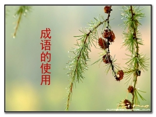 正确使用成语熟语-me