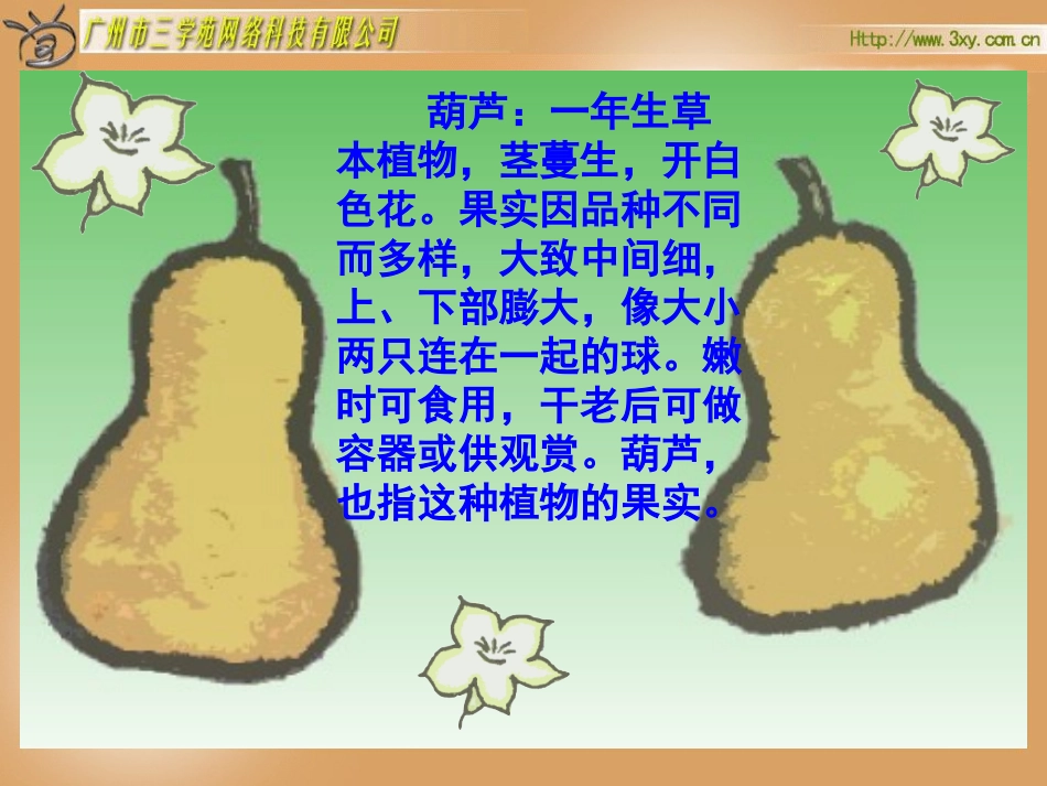 二年级语文上册14、我要的是葫芦课件人教新课标版_第3页