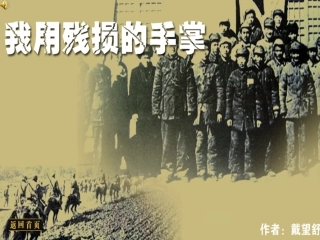 我用残损的手掌 (2)