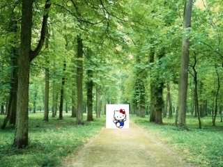 五年级数学分数基本性质