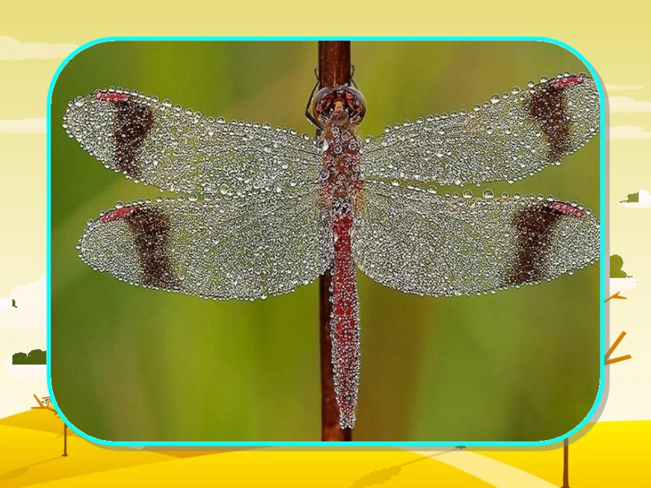 习作3生活中的新发现_第3页