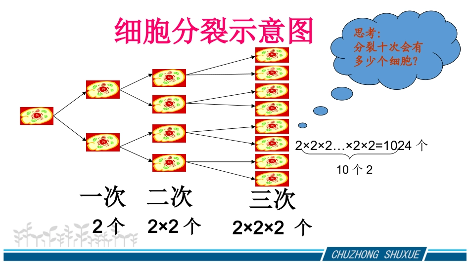 数学七年级上-有理数的乘方_第3页