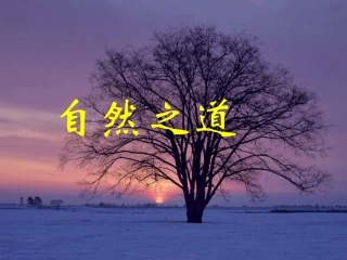 《自然之道》课件2