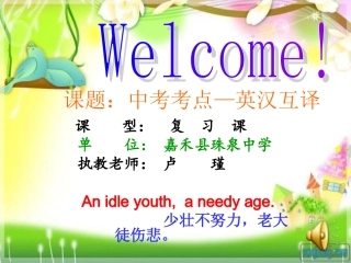 中考英语英汉互译复习