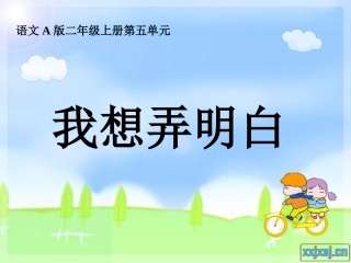 我想弄明白录播课