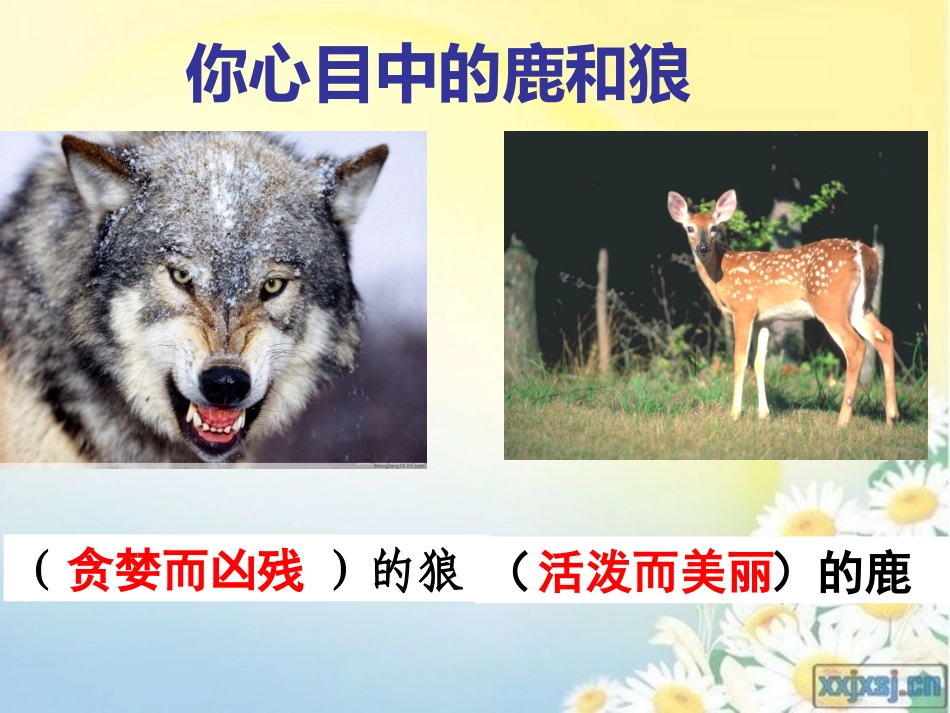 小学语文六年级上册《鹿与狼的故事》课件_第2页