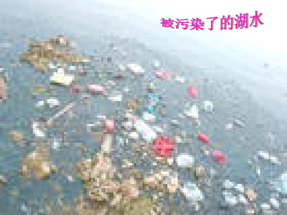 《清澈的湖水》课件2_第3页