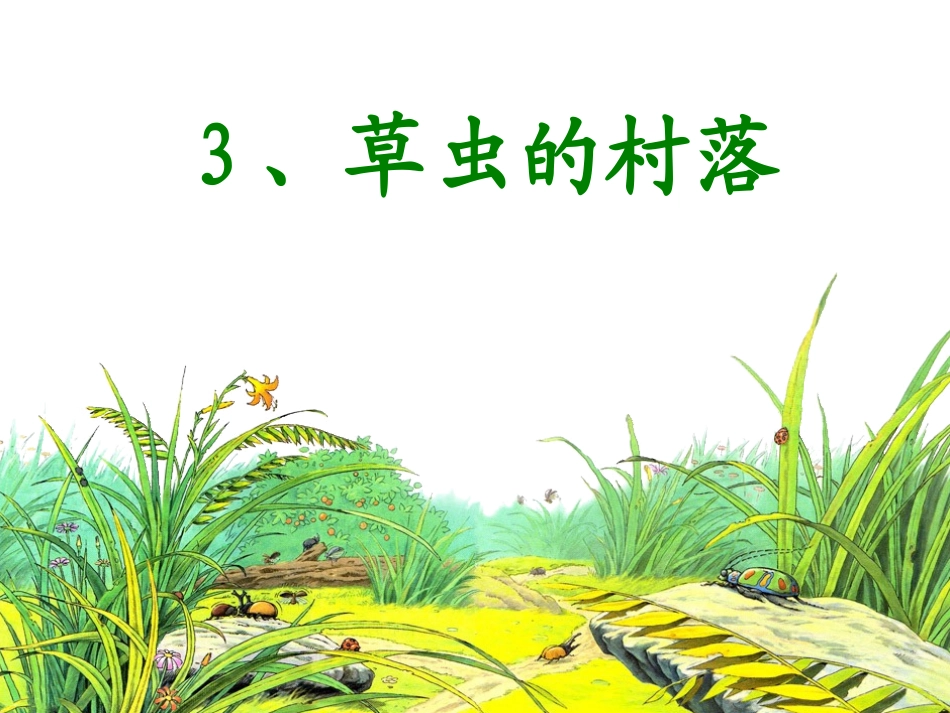 人教版六年级3草虫的村落_第1页