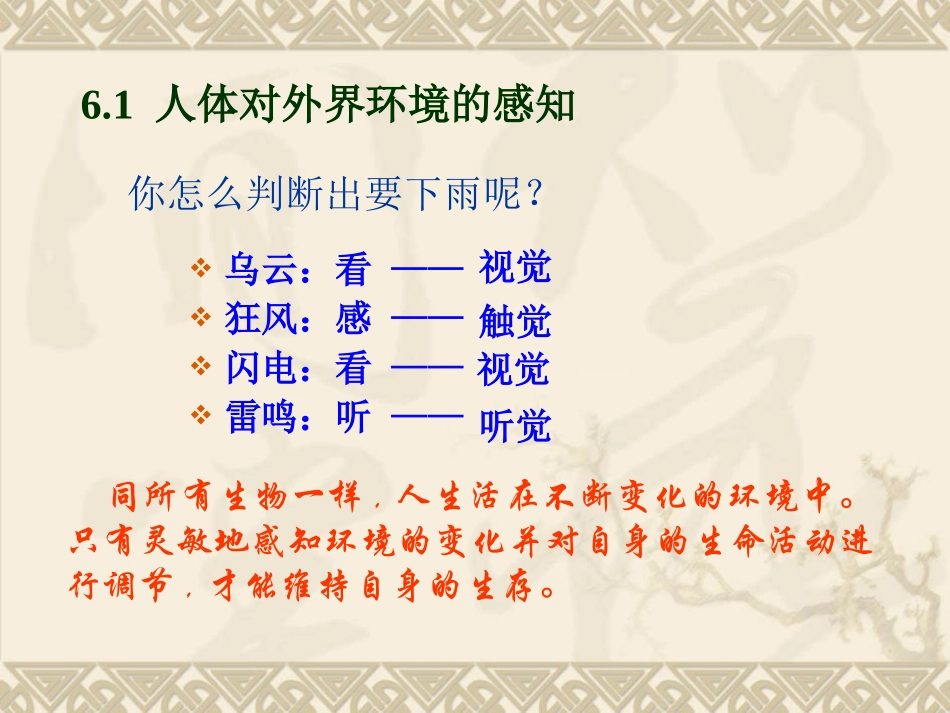 人体对外界环境的感知2_第3页