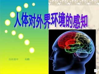 人体对外界环境的感知2