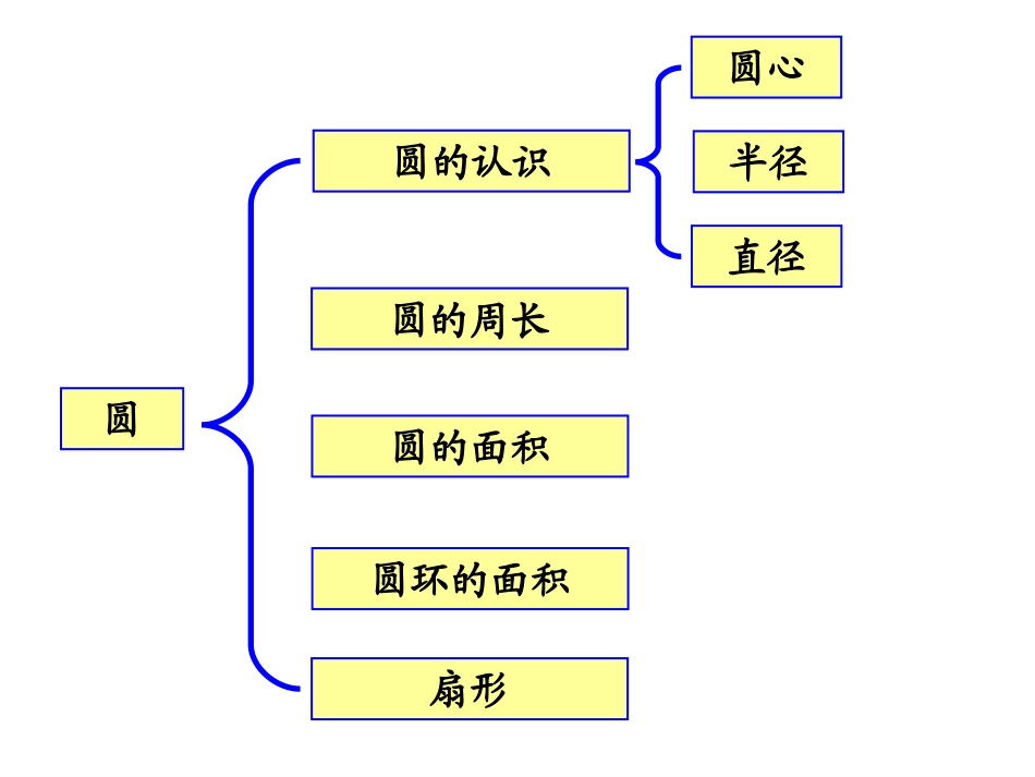 整理与复习(一)圆的认识_第3页