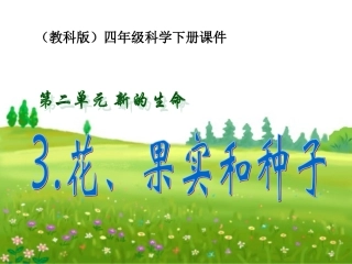 四年级科学下册_花、果实和种子_2课件_教科版