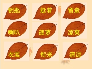 三上11秋天的雨