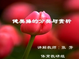 健美操的分类与赏析