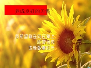 养成良好习惯主题班会