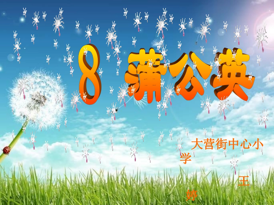 苏教版三上语文《蒲公英》课件_第2页