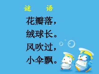 苏教版三上语文《蒲公英》课件