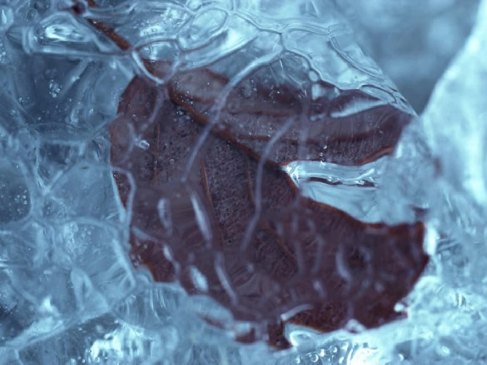 三下三3水结冰了_第2页