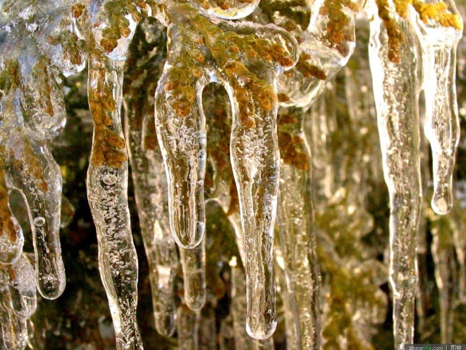 三下三3水结冰了_第3页